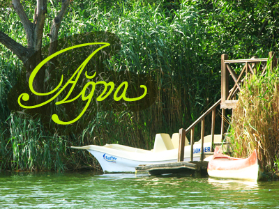 agva