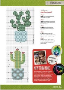 Kaktüs Etamin Modelleri