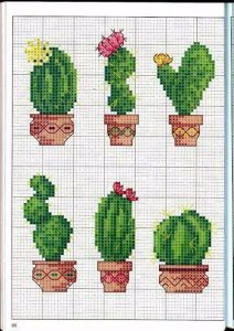 Kaktüs Etamin Modelleri