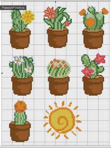 Kaktüs Etamin Modelleri