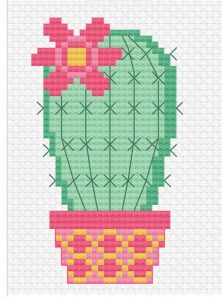 Kaktüs Etamin Modelleri