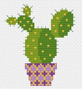 Kaktüs Etamin Modelleri