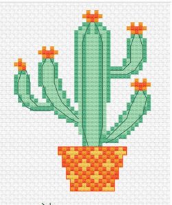 Kaktüs Etamin Modelleri