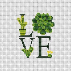 Kaktüs Etamin Modelleri