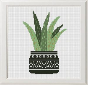 Kaktüs Etamin Modelleri