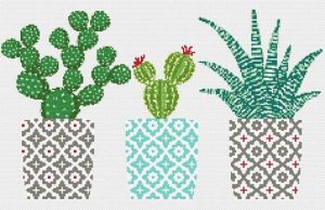 Kaktüs Etamin Modelleri