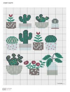 Kaktüs Etamin Modelleri