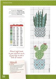 Kaktüs Etamin Modelleri